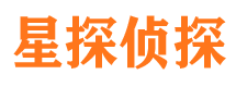 淅川市调查公司